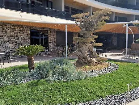 Apartamento Sara